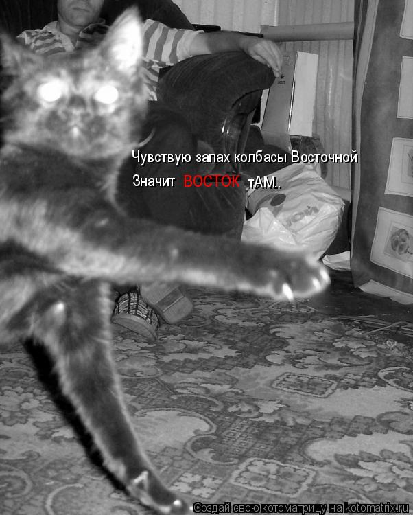 Чувствую запах колбасы Восточной Значит ВОСТОК тАМ..... Котоматрица: Чувствую запах колбасы Восточной Значит ВОСТОК тАМ..