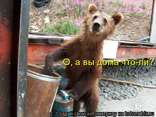О, а вы дома что-ли?... Котоматрица: О, а вы дома что-ли?