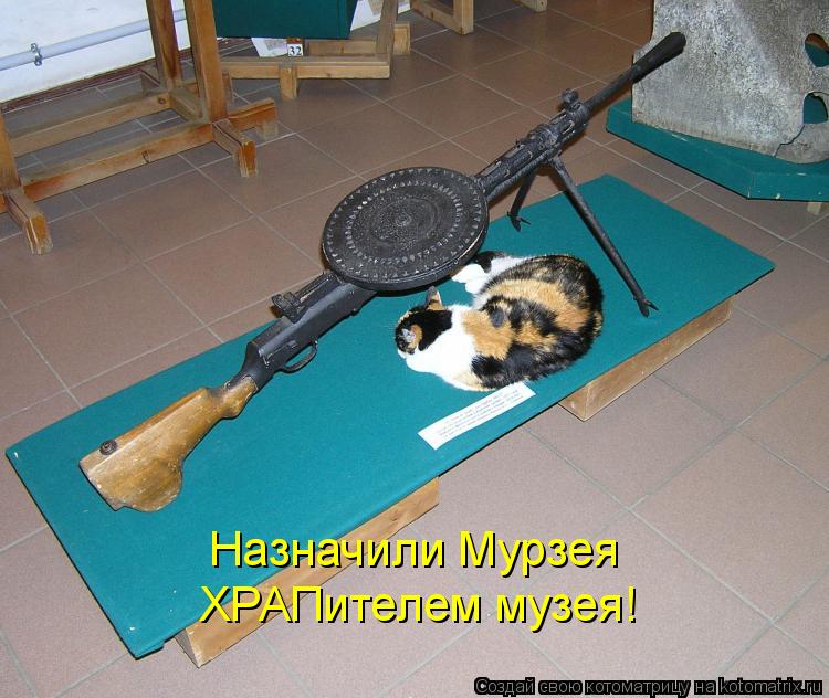 Назначили Мурзея ХРАПителем музея!... Котоматрица: Назначили Мурзея ХРАПителем музея!