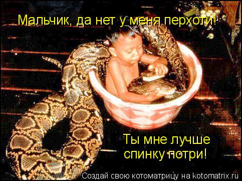 Мальчик, да нет у меня перхоти! Ты мне лучше спинку потри!... Котоматрица: Мальчик, да нет у меня перхоти! Ты мне лучше спинку потри!