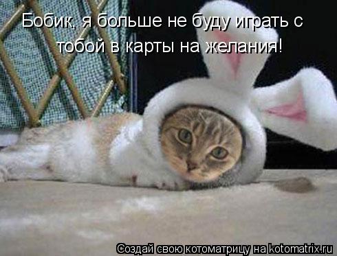 Бобик, я больше не буду играть с тобой в карты на желания!... Котоматрица: Бобик, я больше не буду играть с тобой в карты на желания!