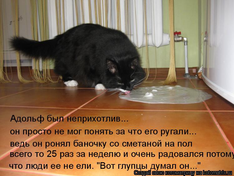 Адольф был неприхотлив... он просто не мог понять за что его ругали... ведь он ронял баночку со смета... Котоматрица: Адольф был неприхотлив... он просто не мог понять за что его ругали... ведь он ронял баночку со сметаной на пол всего то 25 раз за неделю и очень