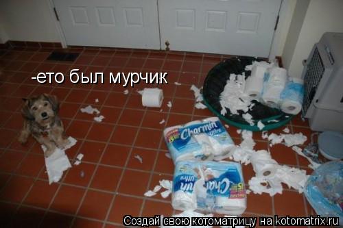 -ето был мурчик... Котоматрица: -ето был мурчик