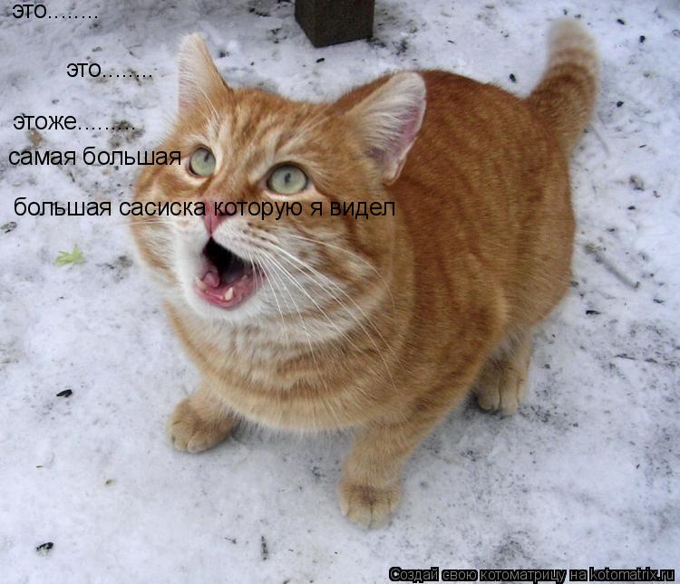 это........ это........ этоже......... самая большая большая сасиска которую я видел... Котоматрица: это........ это........ этоже......... самая большая большая сасиска которую я видел