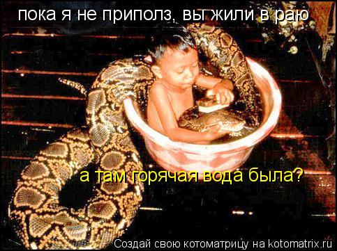 пока я не приполз, вы жили в раю а там горячая вода была?... Котоматрица: пока я не приполз, вы жили в раю а там горячая вода была?