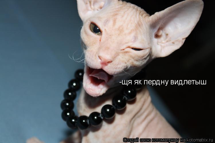 -щя як пердну видлетыш... Котоматрица: -щя як пердну видлетыш
