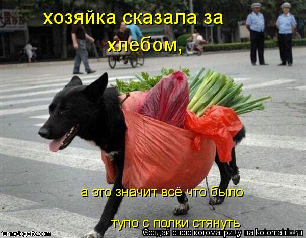 хозяйка сказала за хлебом, а это значит всё что было тупо с полки стянуть... Котоматрица: хозяйка сказала за хлебом, а это значит всё что было тупо с полки стянуть
