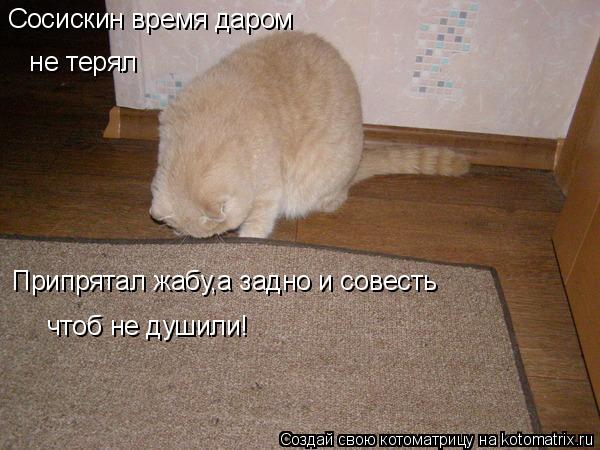 Котоматрица: Припрятал жабу,а задно и совесть   чтоб не душили!  Сосискин время даром  не терял