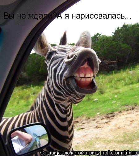 Вы не ждали?А я нарисовалась...... Котоматрица: Вы не ждали?А я нарисовалась...