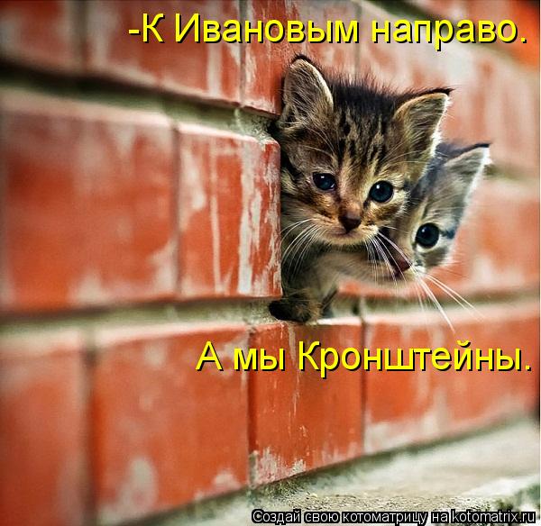 -К Ивановым направо. А мы Кронштейны.... Котоматрица: -К Ивановым направо. А мы Кронштейны.