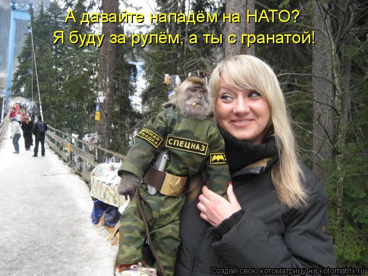 А давайте нападём на НАТО? Я буду за рулём, а ты с гранатой!... Котоматрица: А давайте нападём на НАТО? Я буду за рулём, а ты с гранатой!