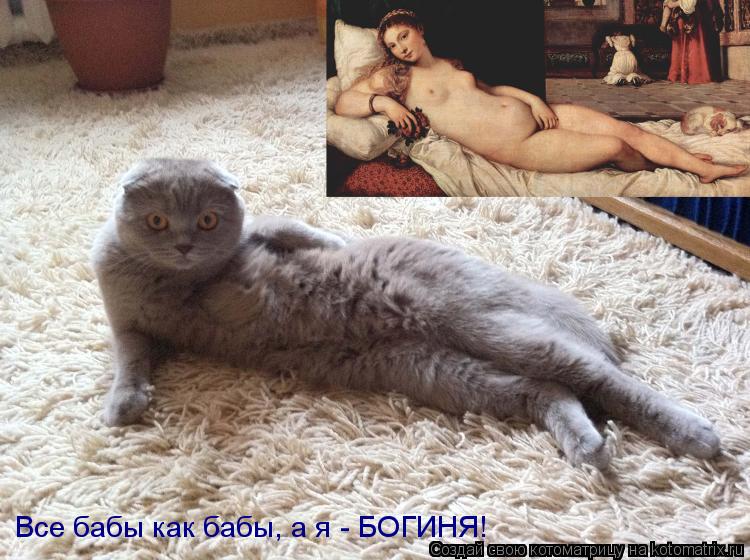 Все бабы как бабы, а я - БОГИНЯ!... Котоматрица: Все бабы как бабы, а я - БОГИНЯ!