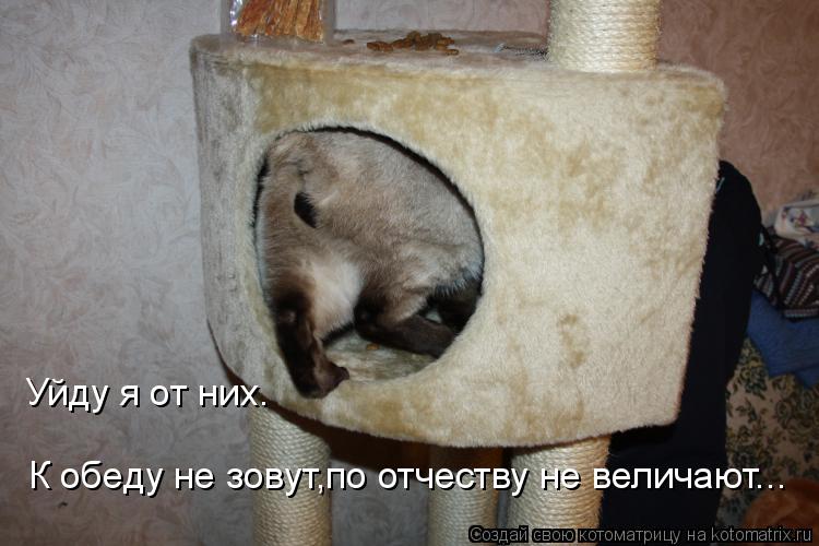 Уйду я от них. К обеду не зовут,по отчеству не величают...... Котоматрица: Уйду я от них. К обеду не зовут,по отчеству не величают...