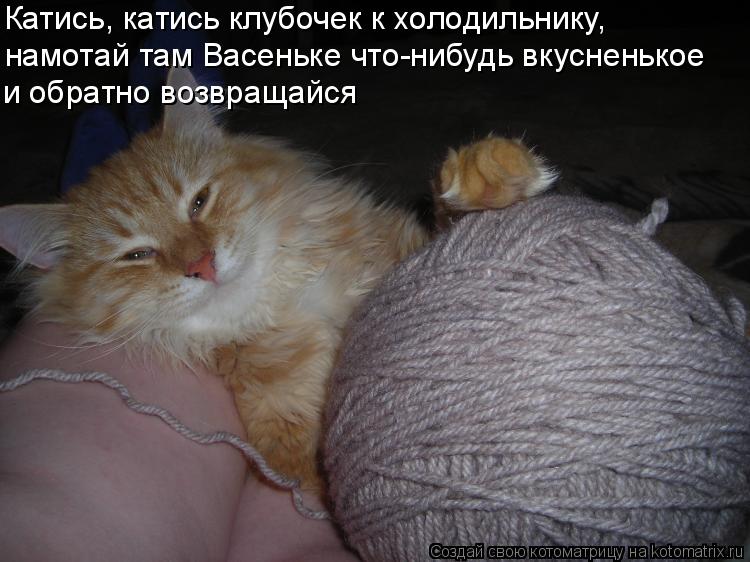 Катись, катись клубочек к холодильнику, намотай там Васеньке что-нибудь вкусненькое и обратно возвращ... Котоматрица: Катись, катись клубочек к холодильнику, намотай там Васеньке что-нибудь вкусненькое и обратно возвращайся