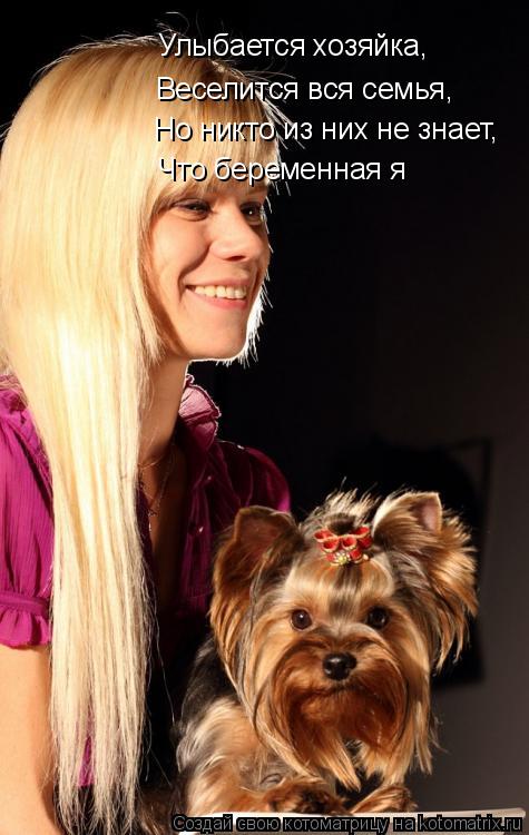 Улыбается хозяйка, Веселится вся семья, Но никто из них не знает, Что беременная я... Котоматрица: Улыбается хозяйка, Веселится вся семья, Но никто из них не знает, Что беременная я