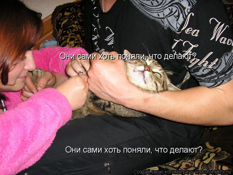 Они сами хоть поняли, что делают? Они сами хоть поняли, что делают?... Котоматрица: Они сами хоть поняли, что делают? Они сами хоть поняли, что делают?
