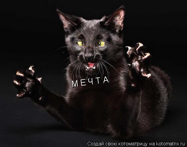 М Е Ч Т А... Котоматрица: М Е Ч Т А