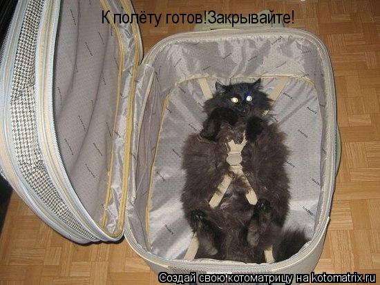 К полёту готов!Закрывайте!... Котоматрица: К полёту готов!Закрывайте!