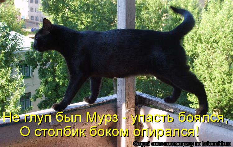 Не глуп был Мурз - упасть боялся, О столбик боком опирался!... Котоматрица: Не глуп был Мурз - упасть боялся, О столбик боком опирался!
