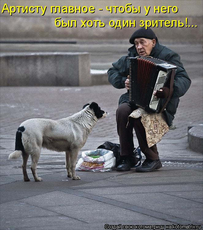 Артисту главное - чтобы у него был хоть один зритель!...... Котоматрица: Артисту главное - чтобы у него был хоть один зритель!...
