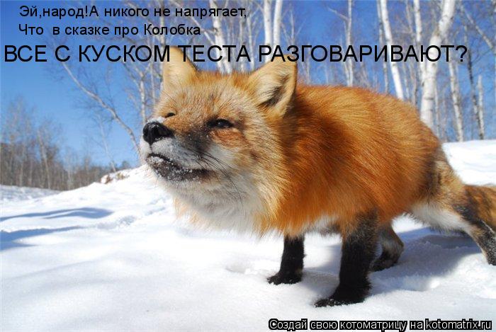 Эй,народ!А никого не напрягает, Что в сказке про Колобка ВСЕ С КУСКОМ ТЕСТА РАЗГОВАРИВАЮТ?... Котоматрица: Эй,народ!А никого не напрягает, Что в сказке про Колобка ВСЕ С КУСКОМ ТЕСТА РАЗГОВАРИВАЮТ?