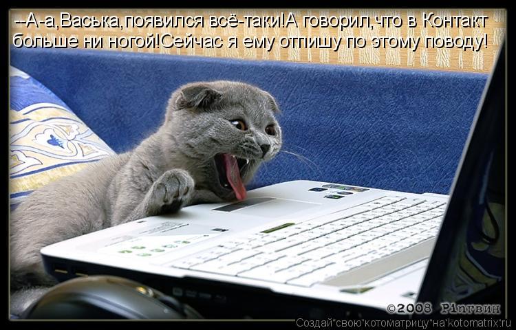 --А-а,Васька,появился всё-таки!А говорил,что в Контакт больше ни ногой!Сейчас я ему отпишу по этому п... Котоматрица: --А-а,Васька,появился всё-таки!А говорил,что в Контакт больше ни ногой!Сейчас я ему отпишу по этому поводу!