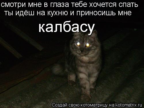смотри мне в глаза тебе хочется спать ты идёш на кухню и приносишь мне калбасу... Котоматрица: смотри мне в глаза тебе хочется спать ты идёш на кухню и приносишь мне калбасу