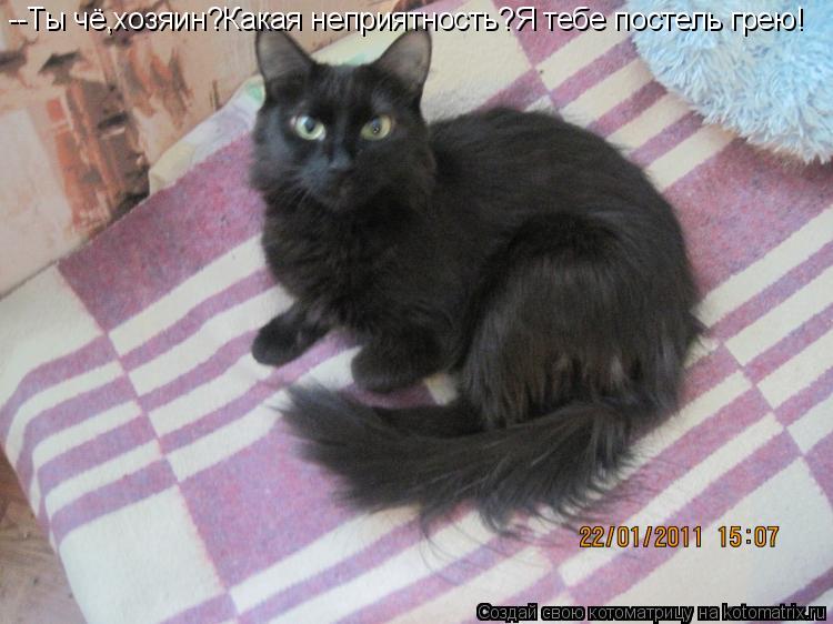 --Ты чё,хозяин?Какая неприятность?Я тебе постель грею!... Котоматрица: --Ты чё,хозяин?Какая неприятность?Я тебе постель грею!