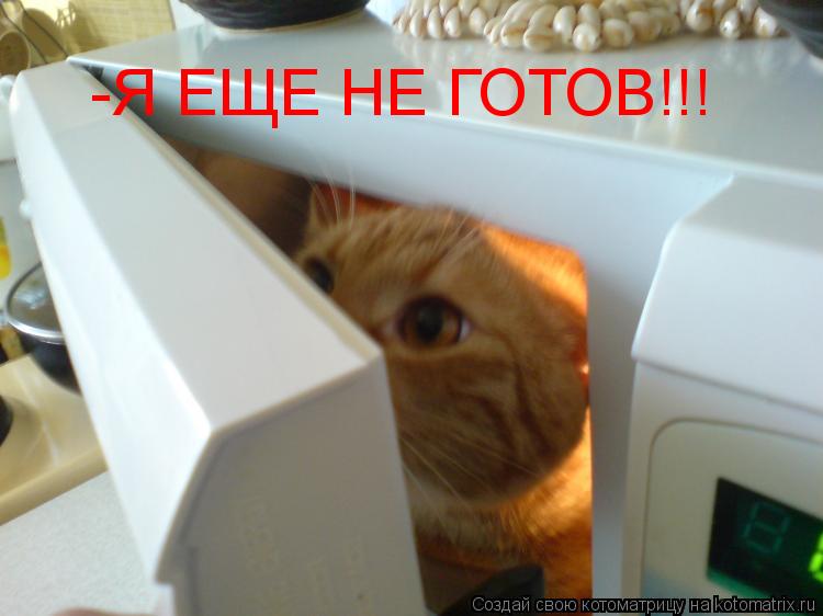 -Я ЕЩЕ НЕ ГОТОВ!!!... Котоматрица: -Я ЕЩЕ НЕ ГОТОВ!!!