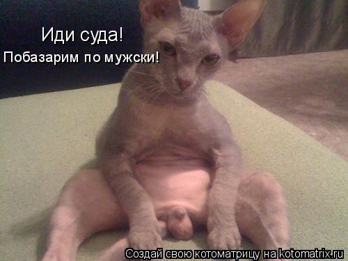 Иди суда! Иди суда! Побазарим по мужски!... Котоматрица: Иди суда! Иди суда! Побазарим по мужски!