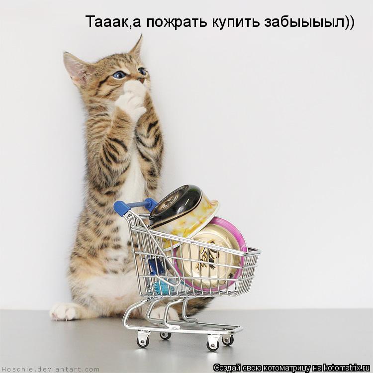 Тааак,а пожрать купить забыыыыл))... Котоматрица: Тааак,а пожрать купить забыыыыл))