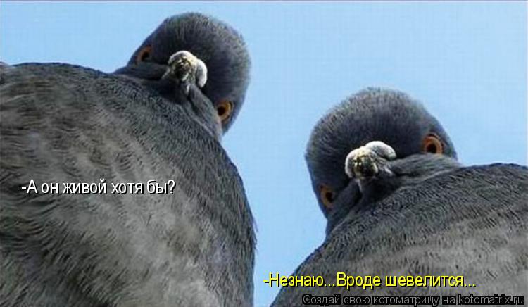 -А он живой хотя бы? -Незнаю...Вроде шевелится...... Котоматрица: -А он живой хотя бы? -Незнаю...Вроде шевелится...