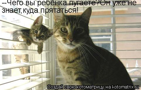 --Чего вы ребёнка пугаете?Он уже не знает,куда прятаться!... Котоматрица: --Чего вы ребёнка пугаете?Он уже не знает,куда прятаться!