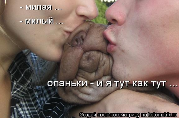 - милая ... - милый ... опаньки - и я тут как тут ...... Котоматрица: - милая ... - милый ... опаньки - и я тут как тут ...