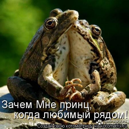 когда любимый рядом! Зачем Мне принц,... Котоматрица: когда любимый рядом! Зачем Мне принц,