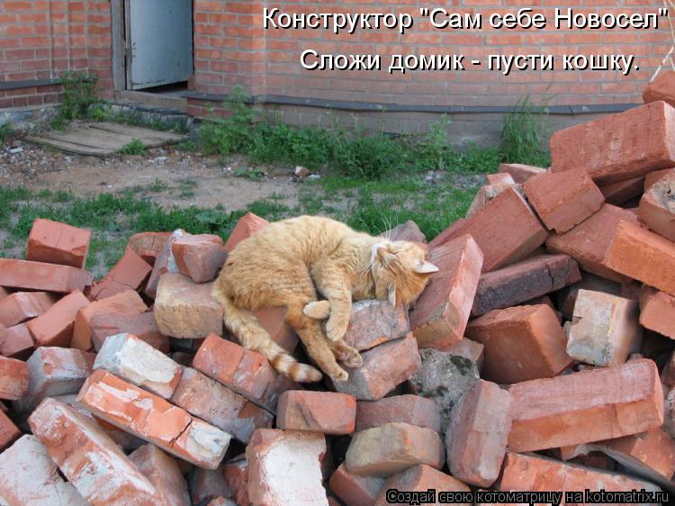 Конструктор "Сам себе Новосел" Сложи домик - пусти кошку.... Котоматрица: Конструктор "Сам себе Новосел" Сложи домик - пусти кошку.