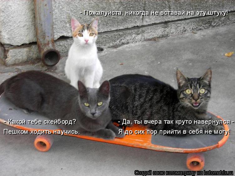 - Какой тебе скейборд? - Да, ты вчера так круто навернулся - Пешком ходить научи... Котоматрица: - Какой тебе скейборд? - Да, ты вчера так круто навернулся - Пешком ходить научись. Я до сих пор прийти в себя