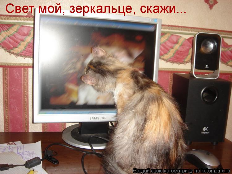 Свет мой, зеркальце, скажи... Свет мой, зеркальце, скажи... Свет мой, зеркальце, скажи...... Котоматрица: Свет мой, зеркальце, скажи... Свет мой, зеркальце, скажи... Свет мой, зеркальце, скажи...