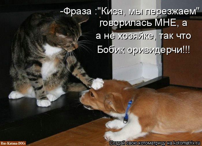 -Фраза :"Киса, мы перезжаем" говорилась МНЕ, а а не хозяйке, так что Бобик оривидерчи!!!... Котоматрица: -Фраза :"Киса, мы перезжаем" говорилась МНЕ, а а не хозяйке, так что Бобик оривидерчи!!!