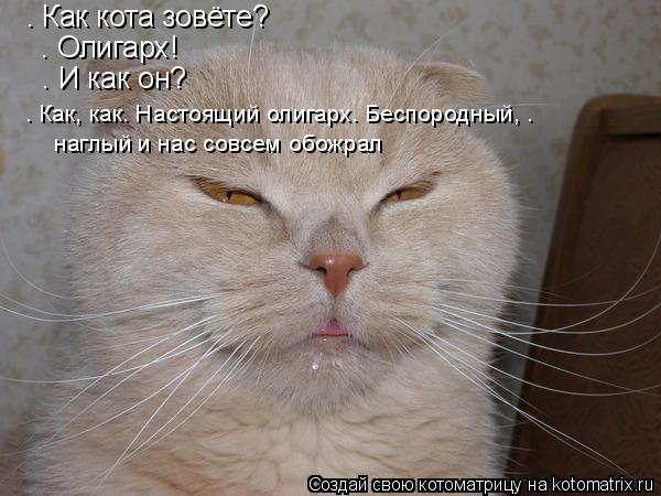 Котоматрица: – Как кота зовёте?  – Олигарх!  – И как он?  – Как, как… Настоящий олигарх. Беспородный, .   наглый и нас совсем обожрал