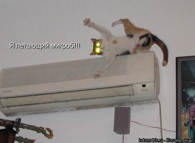 Я летающий микроб!!!... Котоматрица: Я летающий микроб!!!