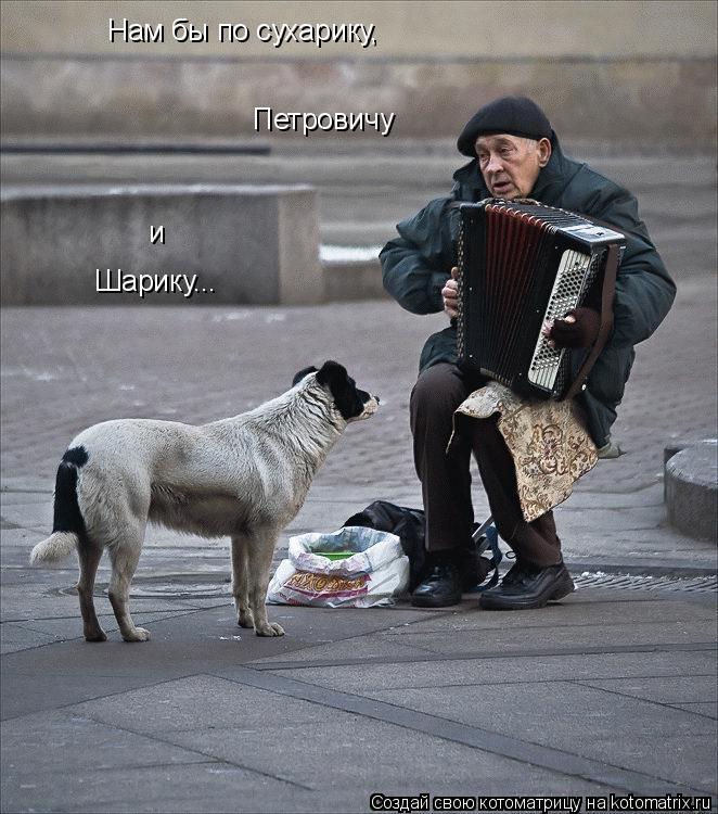 Нам бы по сухарику, Петровичу и Шарику...... Котоматрица: Нам бы по сухарику, Петровичу и Шарику...