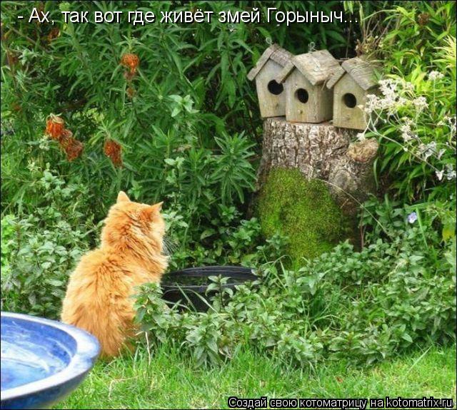 - Ах, так вот где живёт змей Горыныч...... Котоматрица: - Ах, так вот где живёт змей Горыныч...