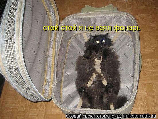 стой стой я не взял фонарь... Котоматрица: стой стой я не взял фонарь