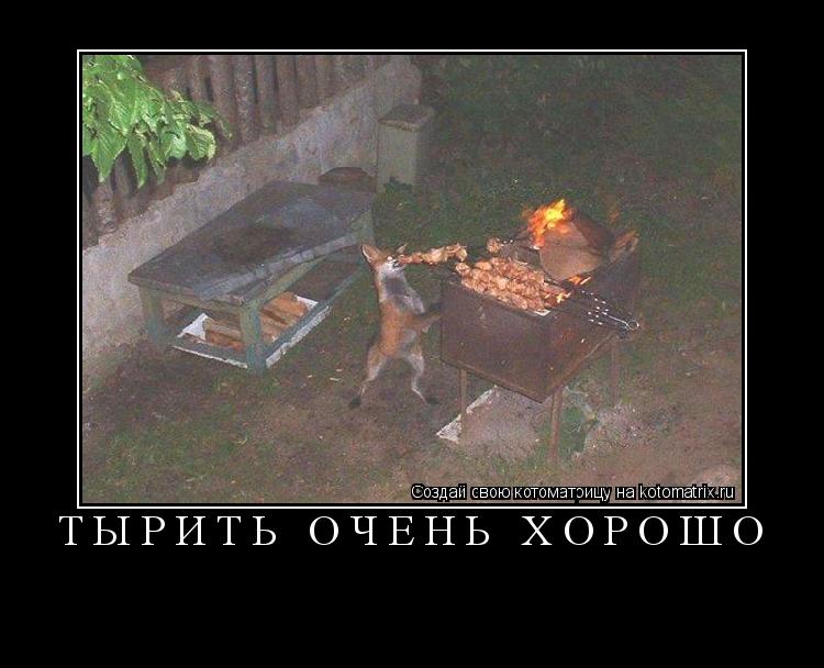 Тырить очень хорошо ... Котоматрица: Тырить очень хорошо