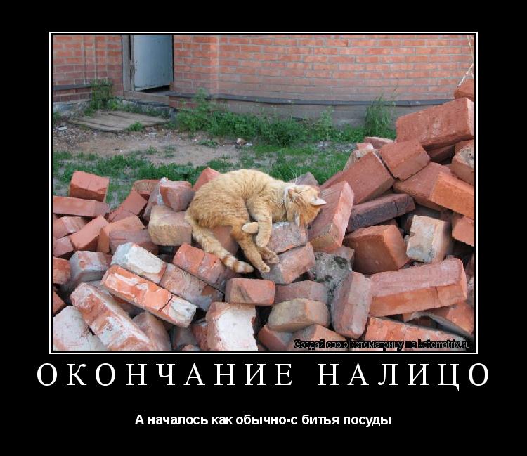 ОКОНЧАНИЕ НАЛИЦО А началось как обычно-с битья посуды... Котоматрица: ОКОНЧАНИЕ НАЛИЦО А началось как обычно-с битья посуды