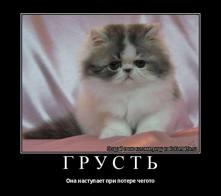 Котоматрица: Грусть Она наступает при потере чегото