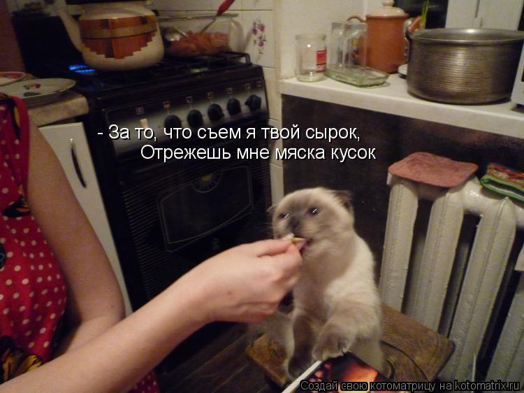 - За то, что съем я твой сырок, Отрежешь мне мяска кусок... Котоматрица: - За то, что съем я твой сырок, Отрежешь мне мяска кусок