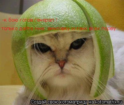 только дайте мне: винтовку и танк всех порву -к бою готов генерал !... Котоматрица: только дайте мне: винтовку и танк всех порву -к бою готов генерал !