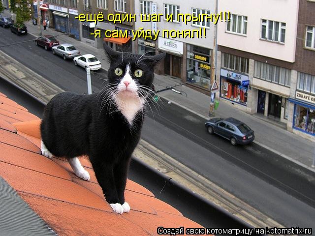 -ещё один шаг и прыгну!!! -я сам уйду понял!!... Котоматрица: -ещё один шаг и прыгну!!! -я сам уйду понял!!